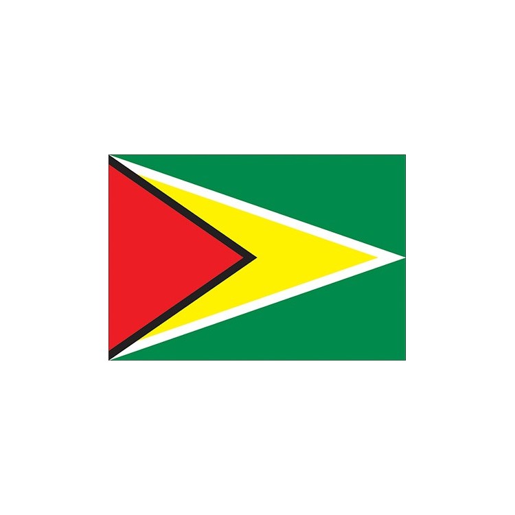 Bandeira da Guiana