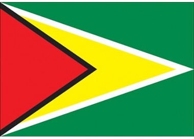 Bandeira da Guiana