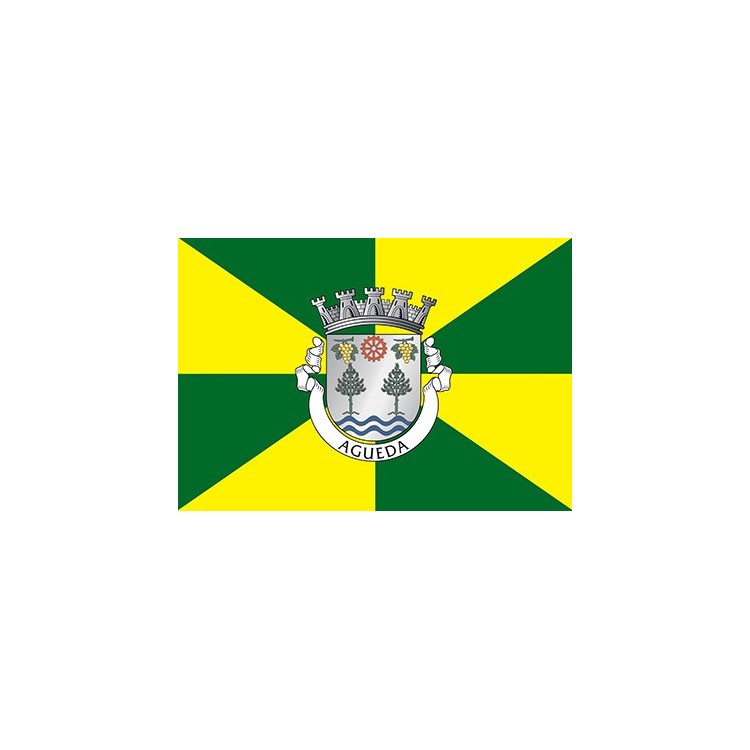 Cidade de Águeda