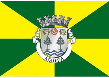 Cidade de Águeda